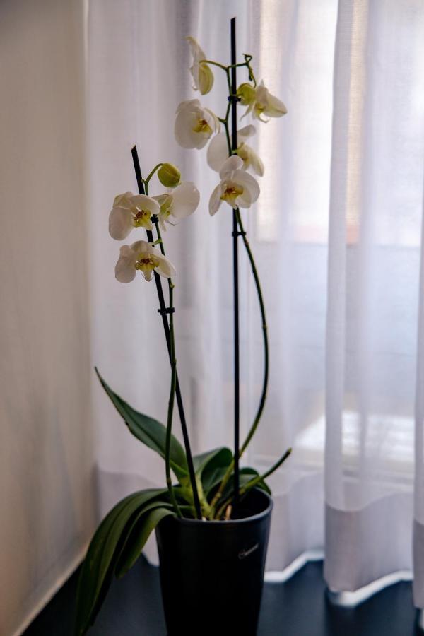 Triple A - Prime Location - Between Monastiraki & Syntagma Square-Free Parking! 아테네 외부 사진
